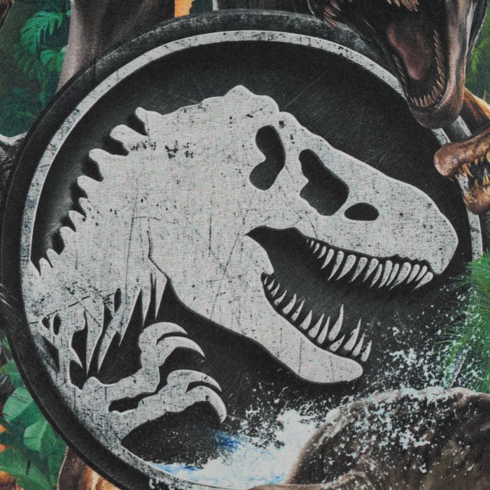 Cojín Decorativo Reversible Jurassic World Bones