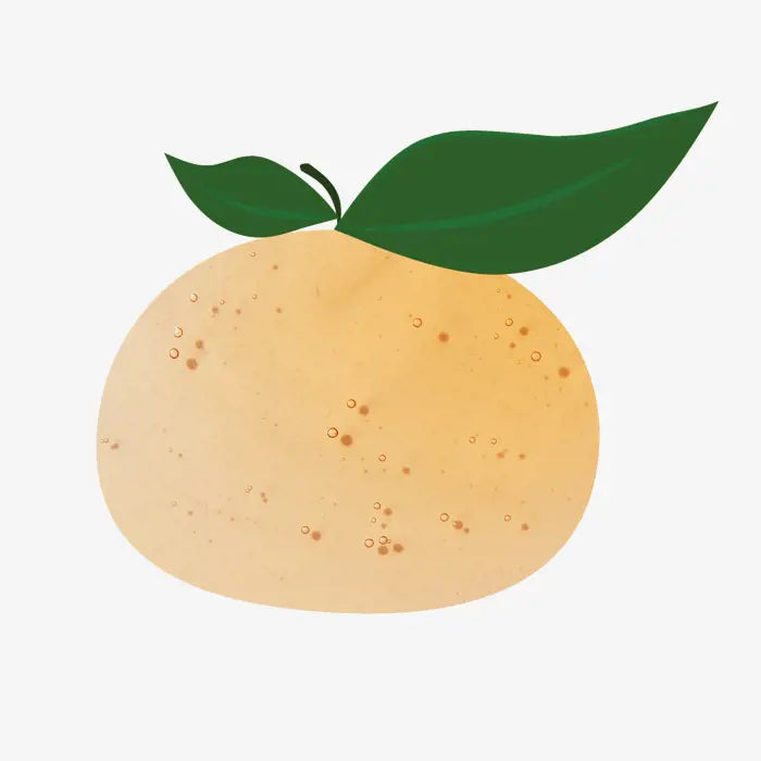 Jabón para Cuerpo y Cabello con Mandarina y Pan de Jengibre Love Nature