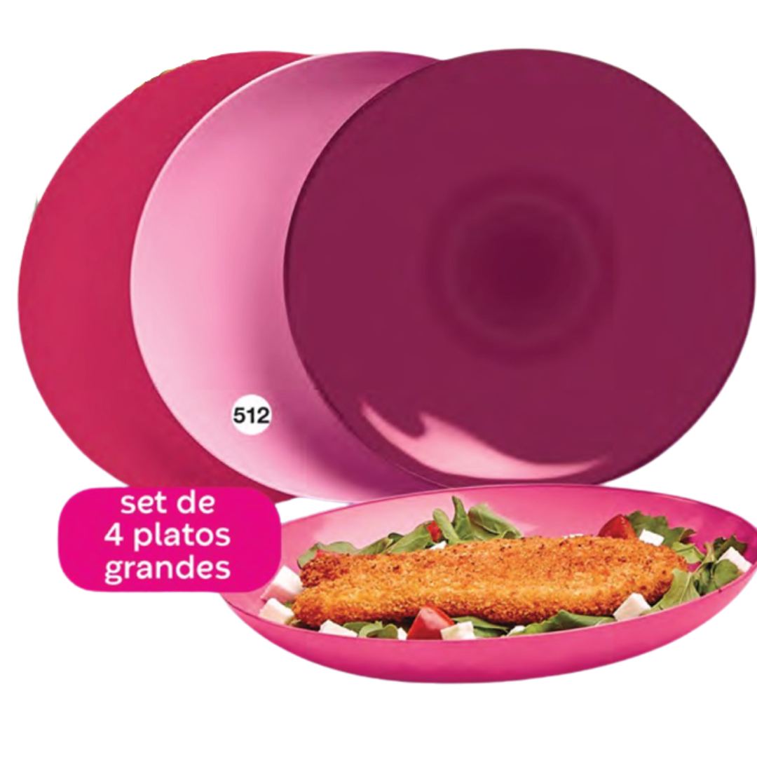 Set de 4 Platos redondos Rosa-Guinda 21 cm
